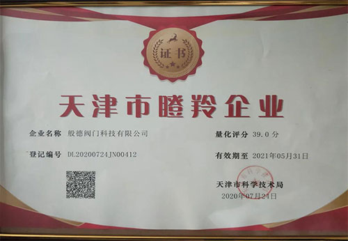 般德閥門(mén)