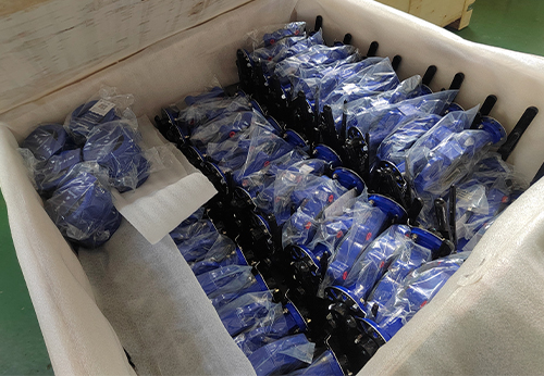 般德蝶閥、蝶式止回閥等產(chǎn)品出口澳大利亞